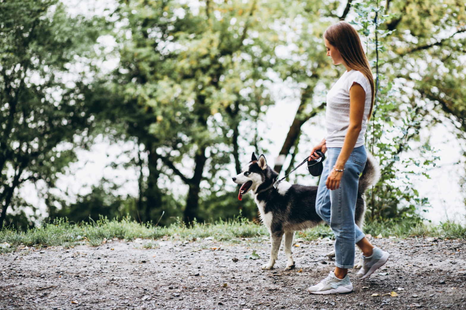 beneficios del empleo de paseador de perros en Bongo Mascots