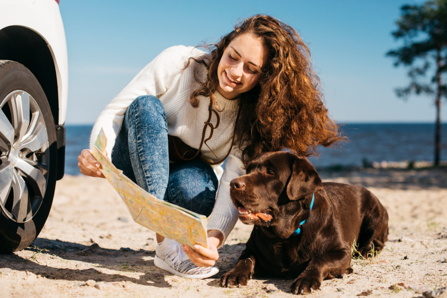 Guardería para perros en Panamá - Consejos de viaje