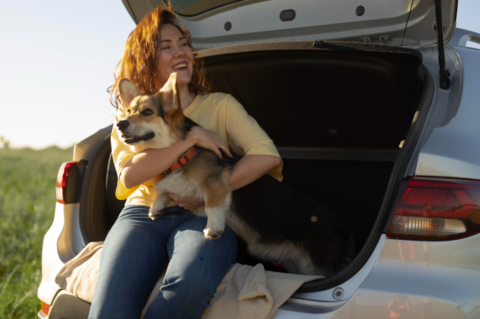 Guardería para perros y gatos en Panamá - Ventajas y desventajas de viajar con tu mascota